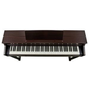 Casio AP-470 Brown Celviano