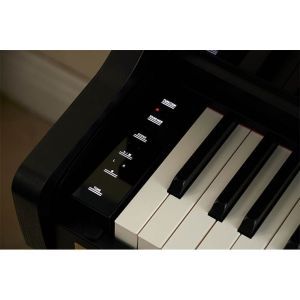 Casio AP-750 Black Celviano SET