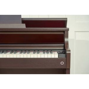 Casio AP-750 Brown Celviano SET