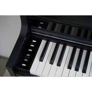 Casio AP-S450 Black Celviano SET