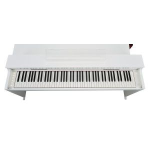 Casio AP-S450 White Celviano SET