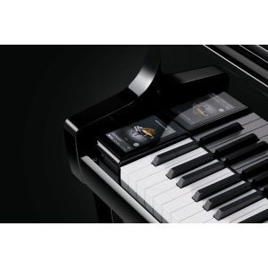 Kawai Novus NV-10S