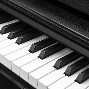 Donner DDP-100 Black