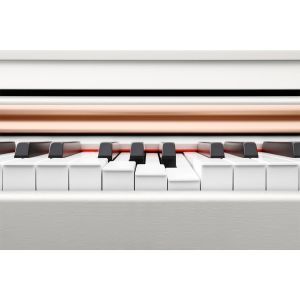 Donner DDP-100 White