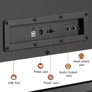 Donner DDP-200 Pro Black