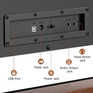Donner DDP-200 Pro Wood