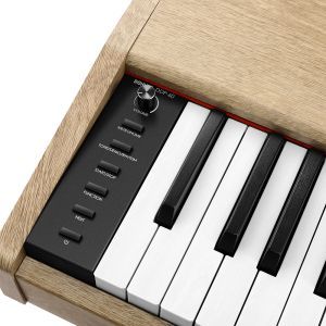 Donner DDP-60 Natural