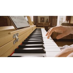 Donner R300 Oura Light Wood