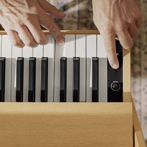 Donner R300 Oura Light Wood