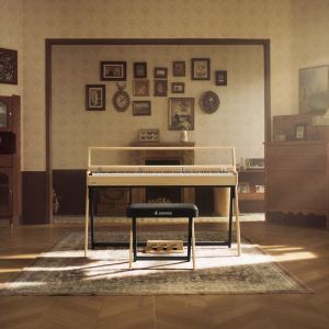 Donner R300 Oura Light Wood