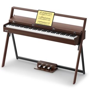 Donner R300 Oura Walnut