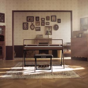 Donner R300 Oura Walnut