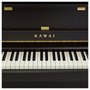 Kawai CA-901 Rosewood