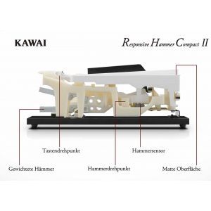 Kawai CN 17 W