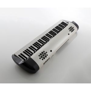 Korg SV-2S 73
