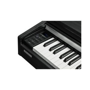 Kurzweil CUP M1 BK