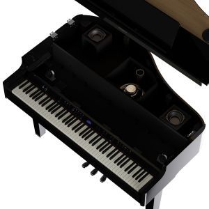 Roland GP-6 Polished Ebony SET