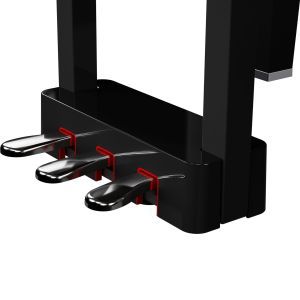 Roland GP-6 Polished Ebony SET