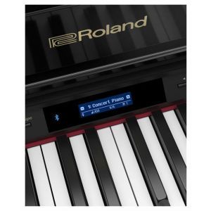 Roland GP-607-PE