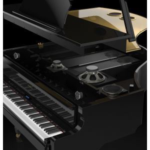 Roland GP 609 Polished Ebony