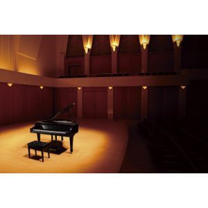 Pian Digital Roland GP 7 PE V Piano Grand