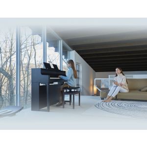 Set Pian Digital Roland HP 704 Charcoal Black