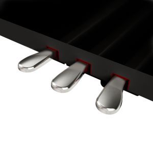 Roland LX-9 Polished Ebony SET