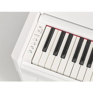 Yamaha YDP S54 White