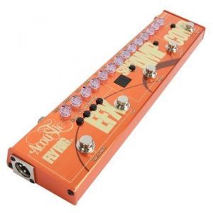 Tech 21 Acoustic Fly Rig