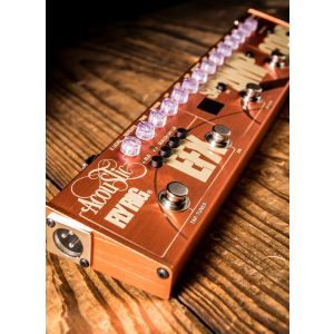 Tech 21 Acoustic Fly Rig