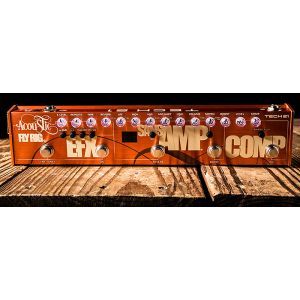 Tech 21 Acoustic Fly Rig