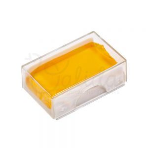 Sacaz Vioara/Viola Valida V100