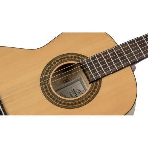 Ortega RPPC34 3/4 Pickers Pack