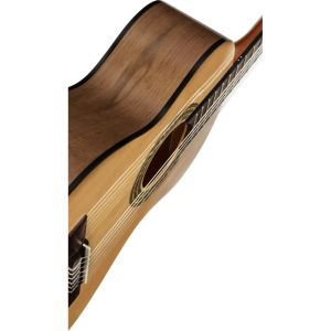 Ortega RPPC34 3/4 Pickers Pack