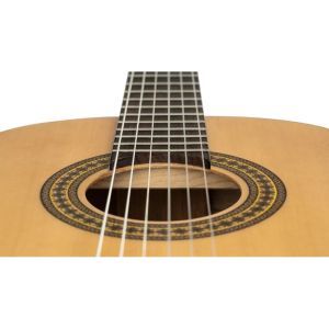 Ortega RPPC34 3/4 Pickers Pack