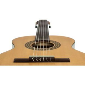 Ortega RPPC34 3/4 Pickers Pack