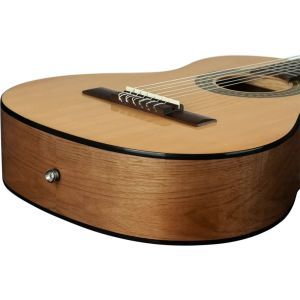 Ortega RPPC34 3/4 Pickers Pack