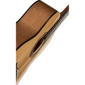 Ortega RPPC44 4/4 Pickers Pack