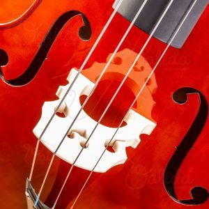 Set Contrabas Valida V100 3/4