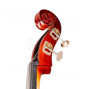 Set Contrabas Valida V100 3/4