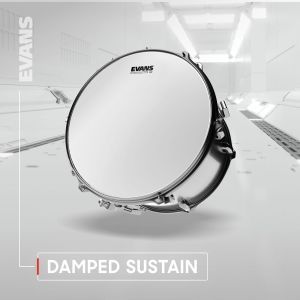Evans G2 Clear Rock Pack (10-12-16') with 14' HD Dry Snare Batter