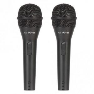 Peavey PA-PVi 2 MIC