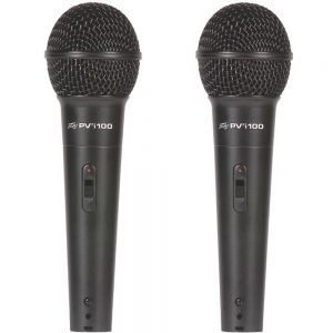 Peavey PA-PVi100 (2Pack)