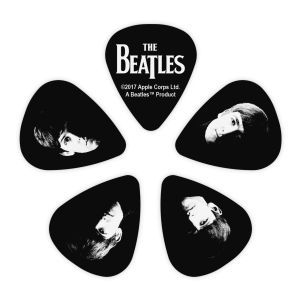 Daddario Beatles Meet The Beatles 10 pack Thin