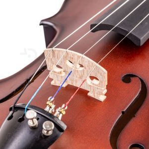 Valida V100 4/4 Darkbrown Mat