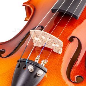 Valida V100 4/4 Sunburst