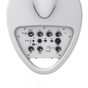 LD Systems MAUI 5 GO W