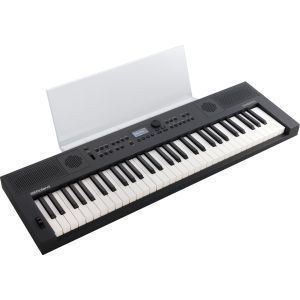 Roland GO:KEYS 5 Graphite Music Rest + CB-V61