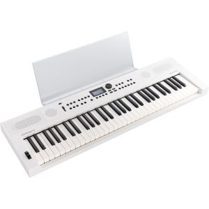 Roland GO:KEYS 5 Graphite Music Rest + CB-V61