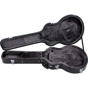Epiphone EPI 519 DOT/SHERATON